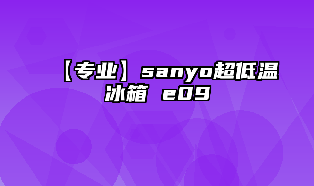 【专业】sanyo超低温冰箱 e09